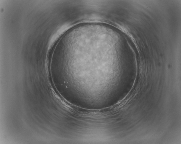 X0000067351464200604131738