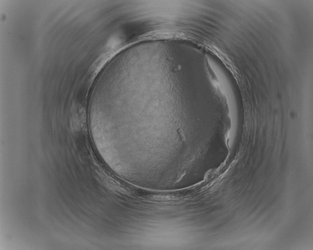 X0000067351465200604131738