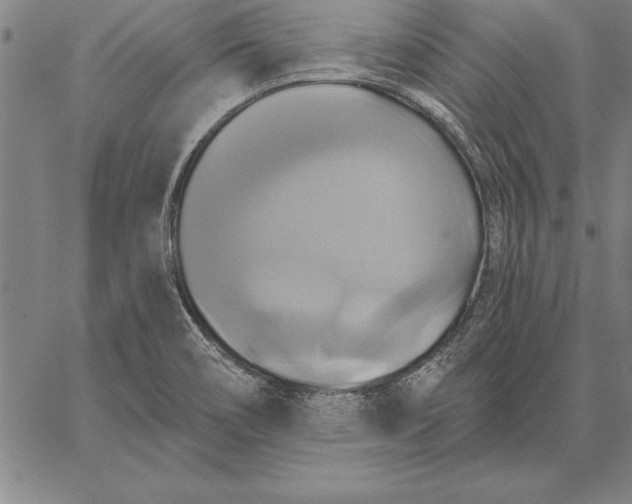 X0000067351466200604131738