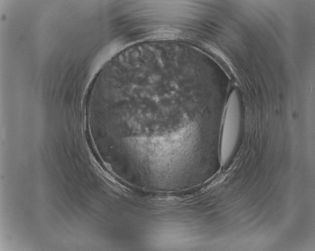 X0000067351467200604131738