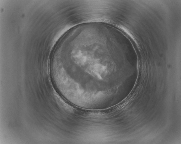 X0000067351468200604131738