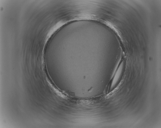 X0000067351469200604131738