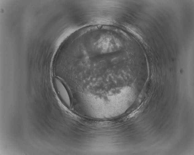 X0000067351471200604131738