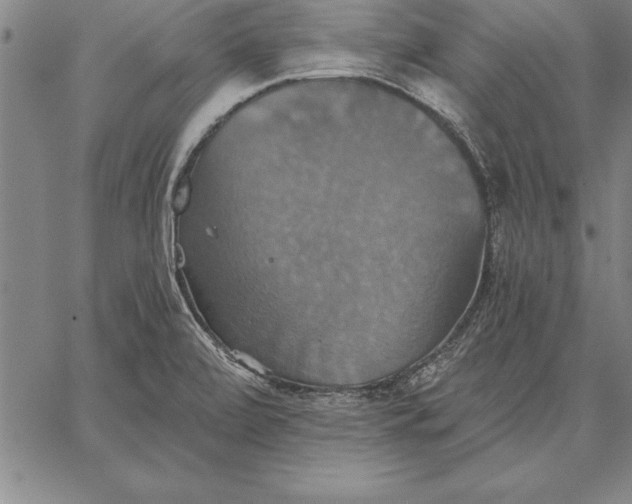 X0000067351472200604131738