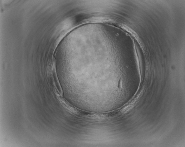 X0000067351473200604131738