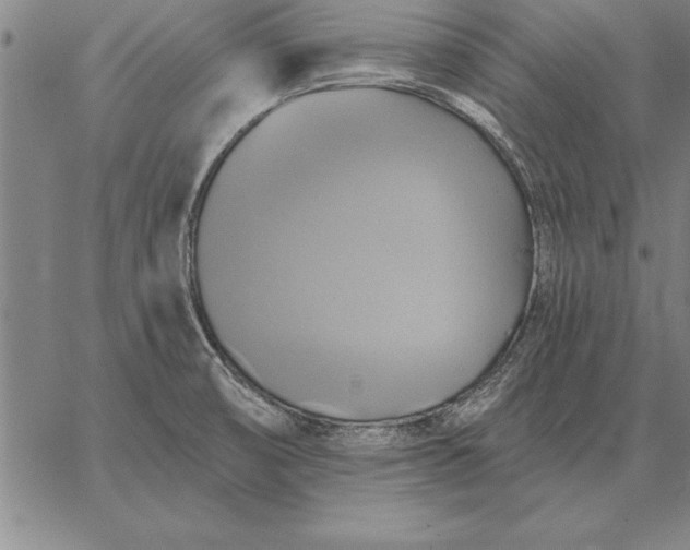 X0000067351474200604131738