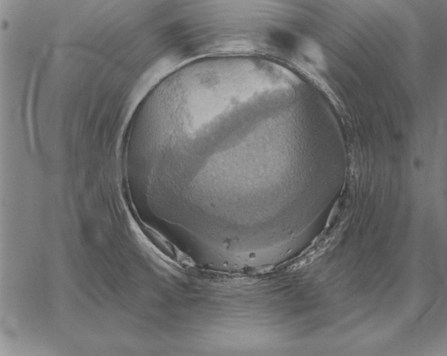 X0000067351475200604131738