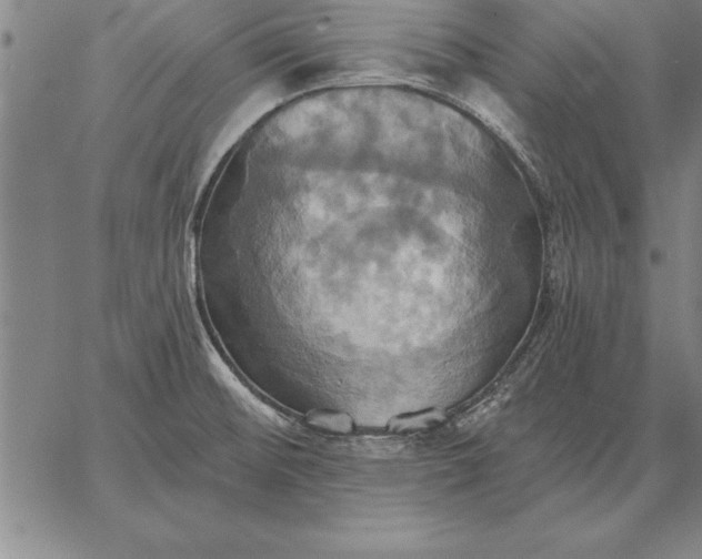 X0000067351476200604131738