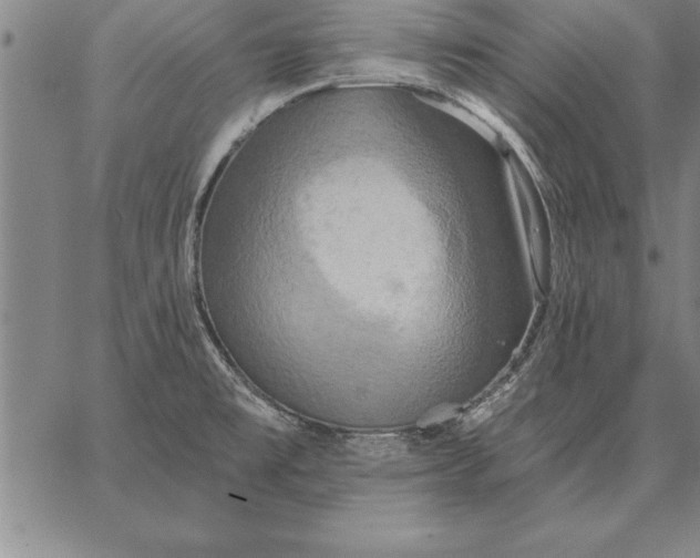 X0000067351477200604131738