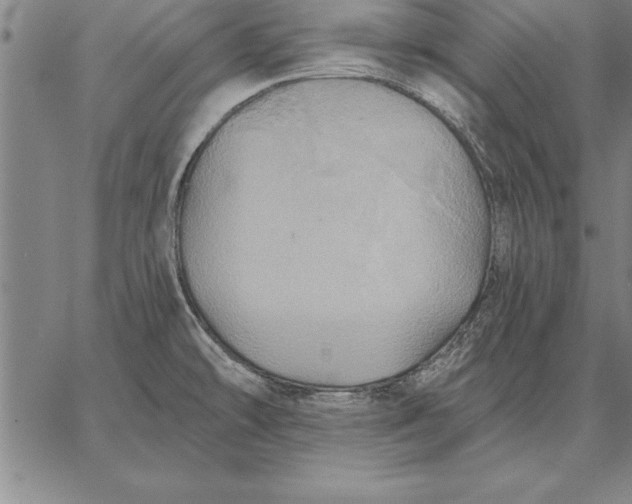 X0000067351478200604131738