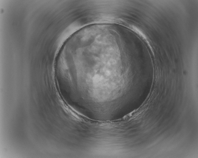 X0000067351480200604131738