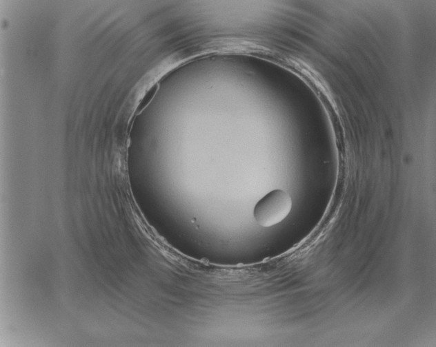 X0000067351481200604131738