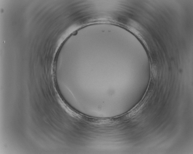 X0000067351482200604131738