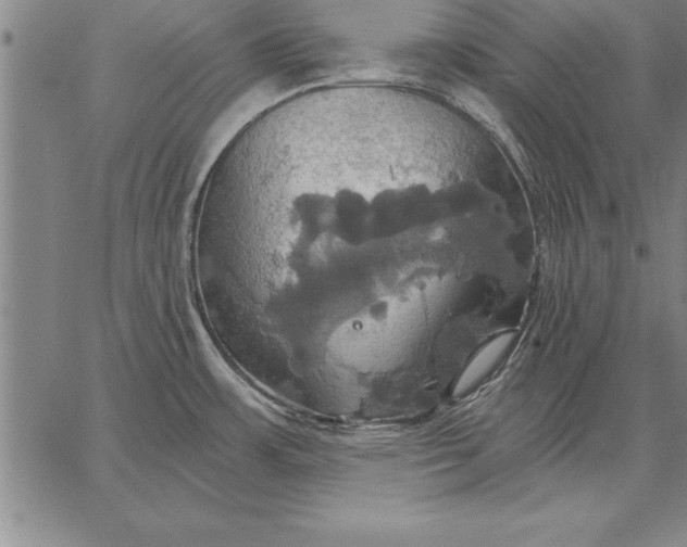 X0000067351483200604131738