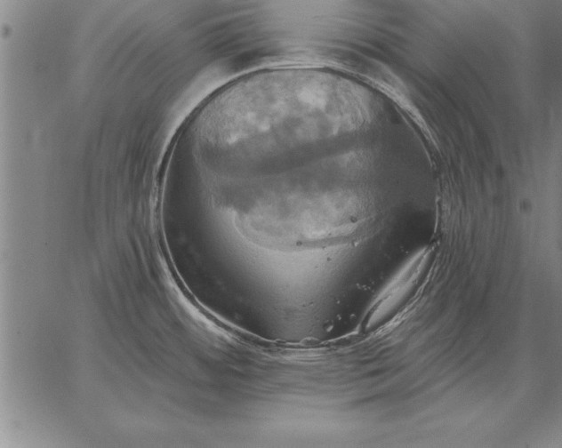 X0000067351484200604131738