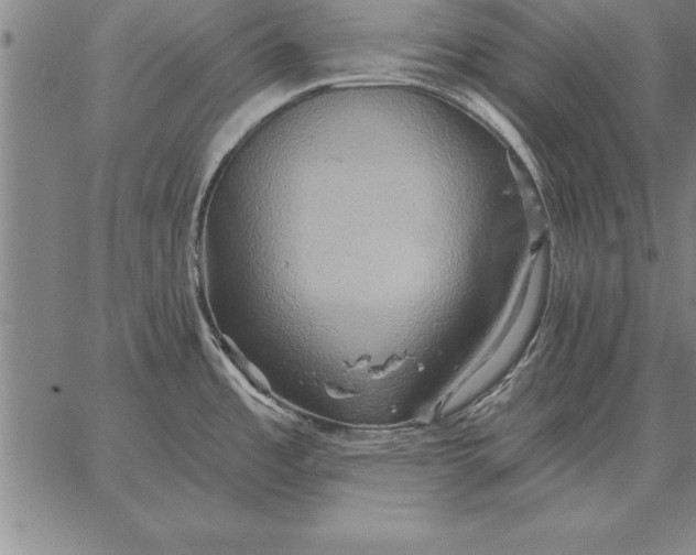 X0000067351485200604131738