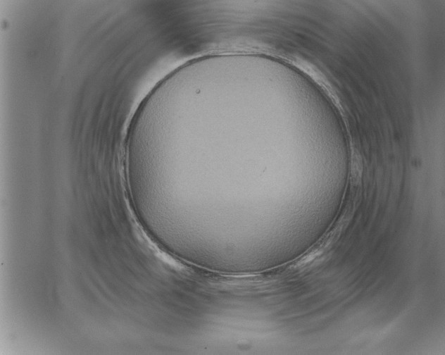 X0000067351486200604131738