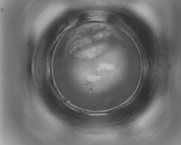 X0000067351487200604131738