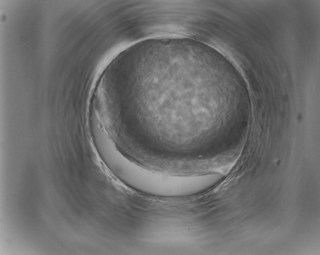 X0000067351488200604131738