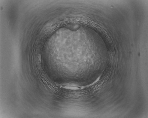 X0000067351489200604131737