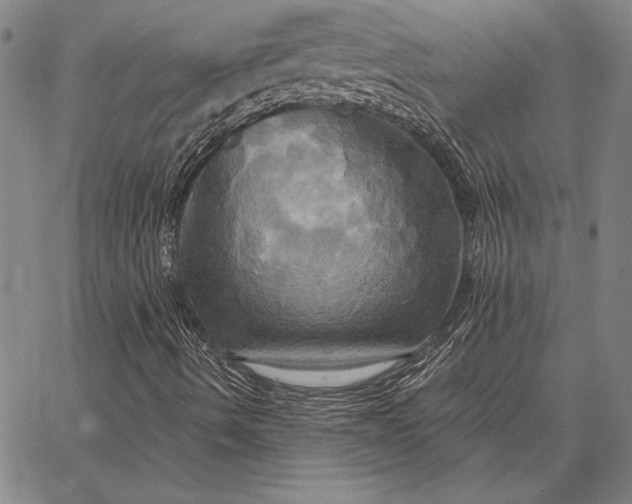 X0000067351490200604131737