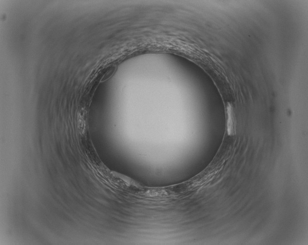 X0000067351491200604131737