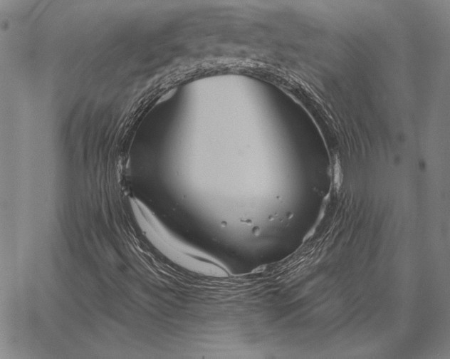 X0000067351492200604131737