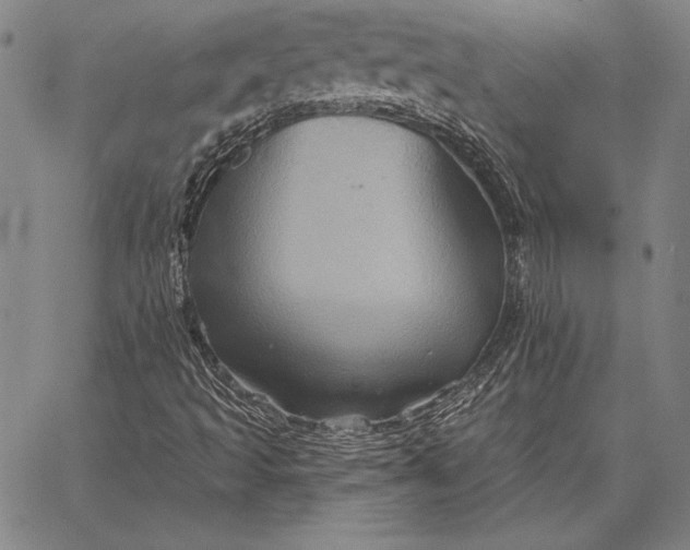 X0000067351493200604131737