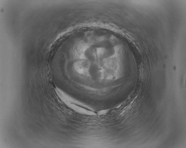 X0000067351494200604131737