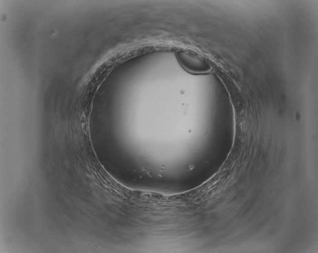 X0000067351495200604131737