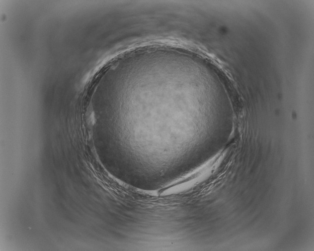 X0000067351496200604131737