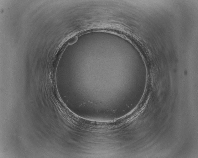 X0000067351497200604131737