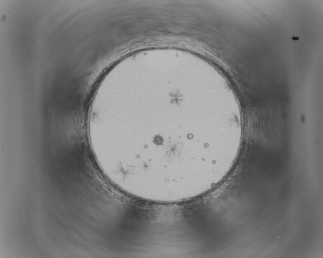 X0000067351498200604131737