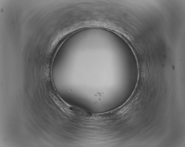 X0000067351499200604131737