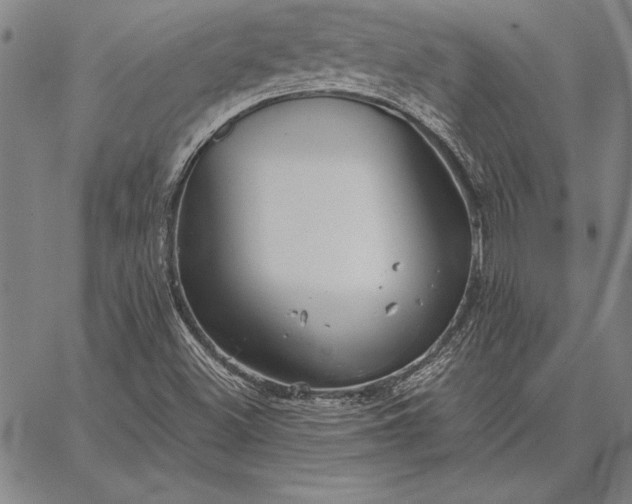 X0000067351500200604131737