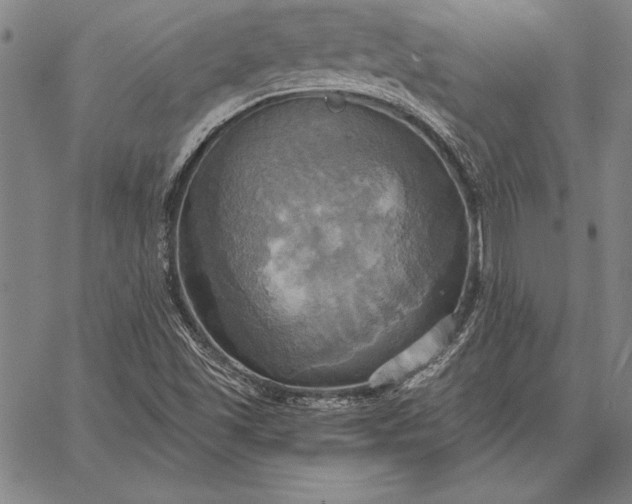 X0000067351501200604131737