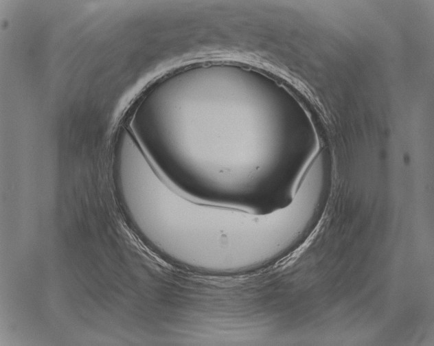 X0000067351502200604131737