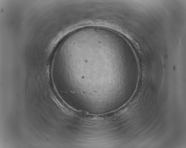 X0000067351503200604131737