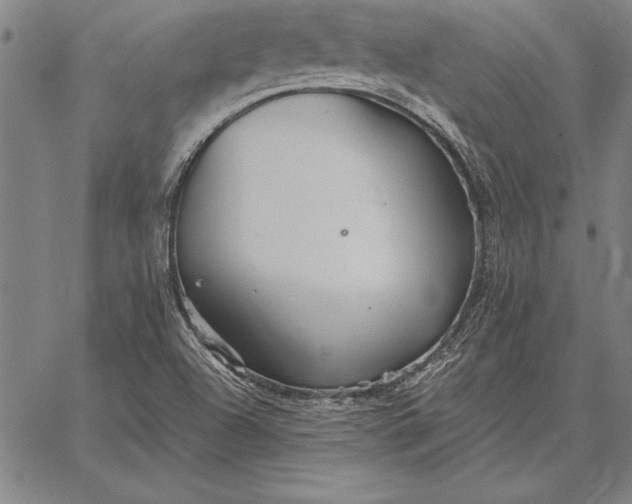 X0000067351504200604131737