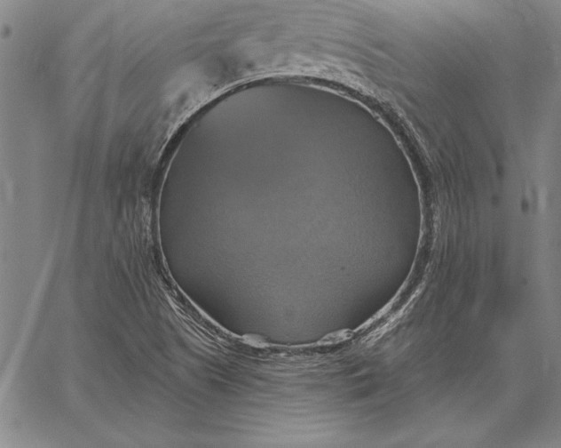 X0000067351505200604131737