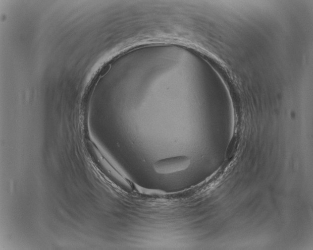 X0000067351506200604131737