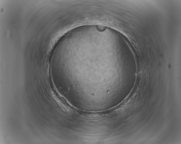 X0000067351507200604131737