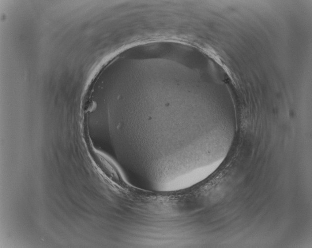 X0000067351508200604131737