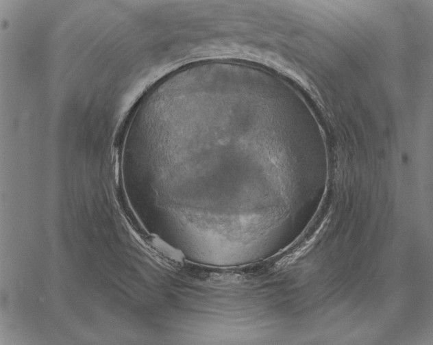 X0000067351509200604131738