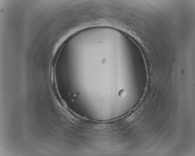 X0000067351510200604131738