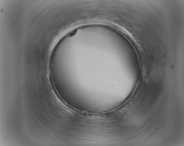 X0000067351512200604131738