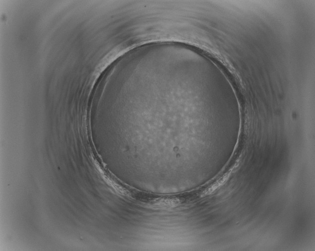 X0000067351513200604131738