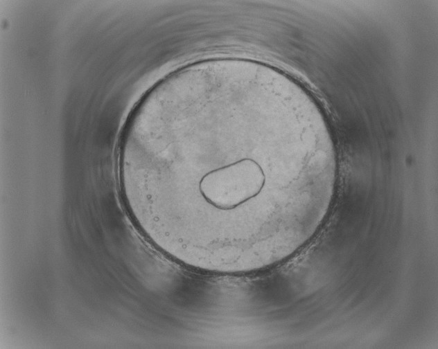 X0000067351514200604131738