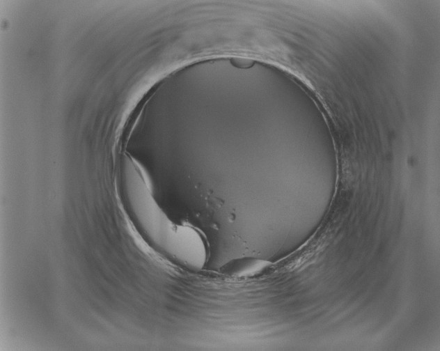 X0000067351515200604131738