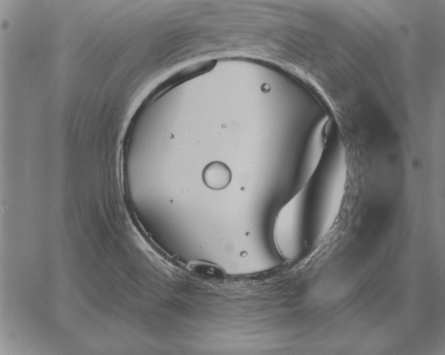 X0000067351516200604131738